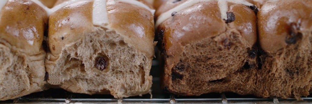 CDHB - Hot Cross Buns Header Image