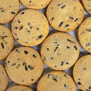 Choc Chip Biscuit